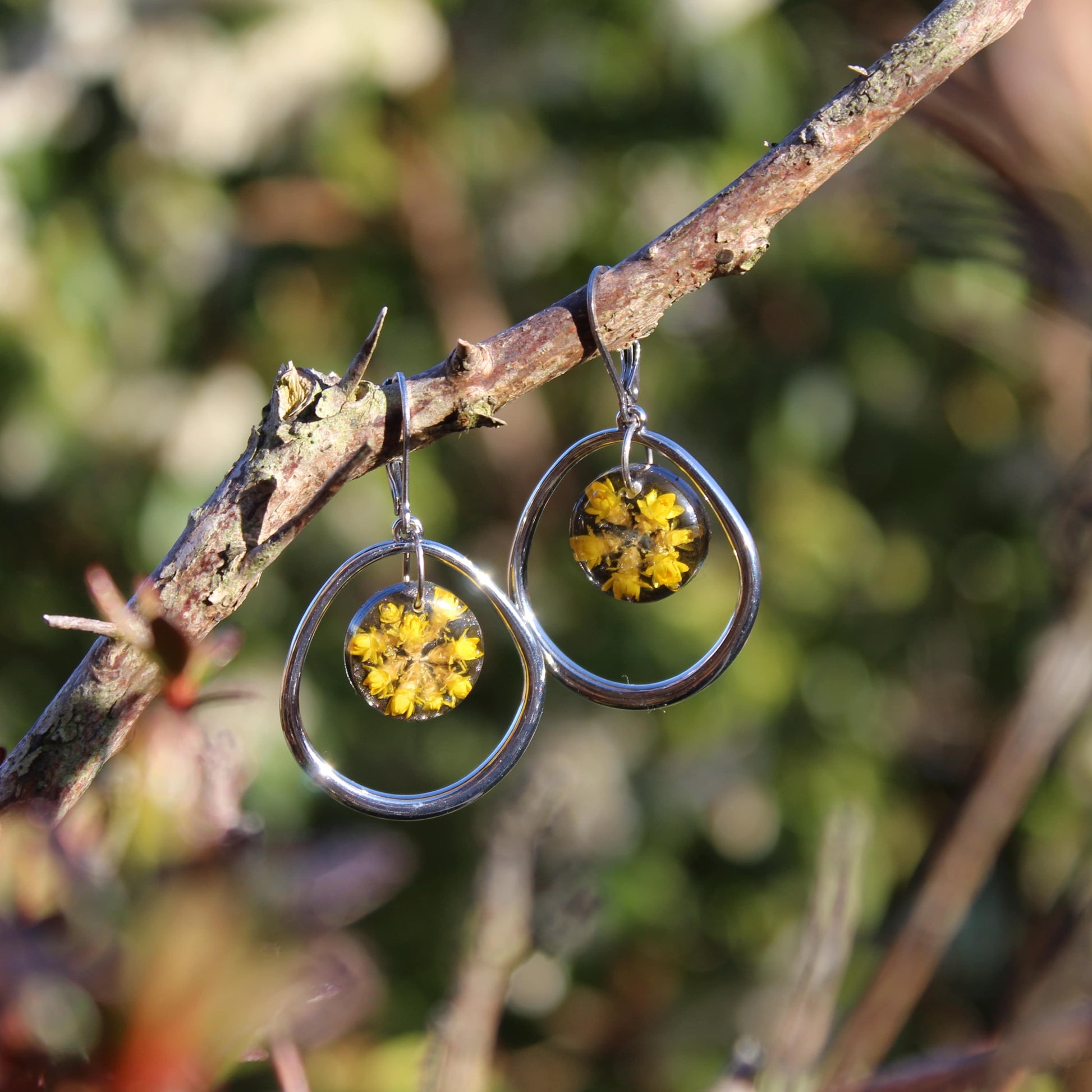 Silver earrings with yellow floral elements hanging on a branch