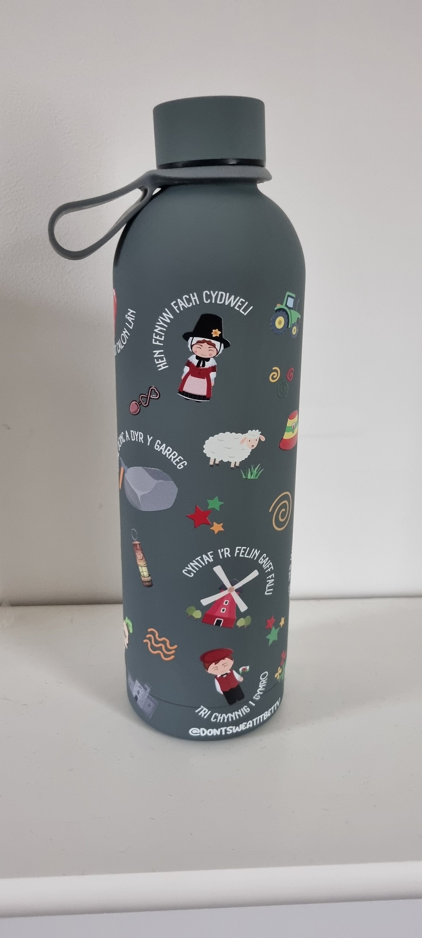 Lliwiau Cymru Stainless Steel Water Bottle