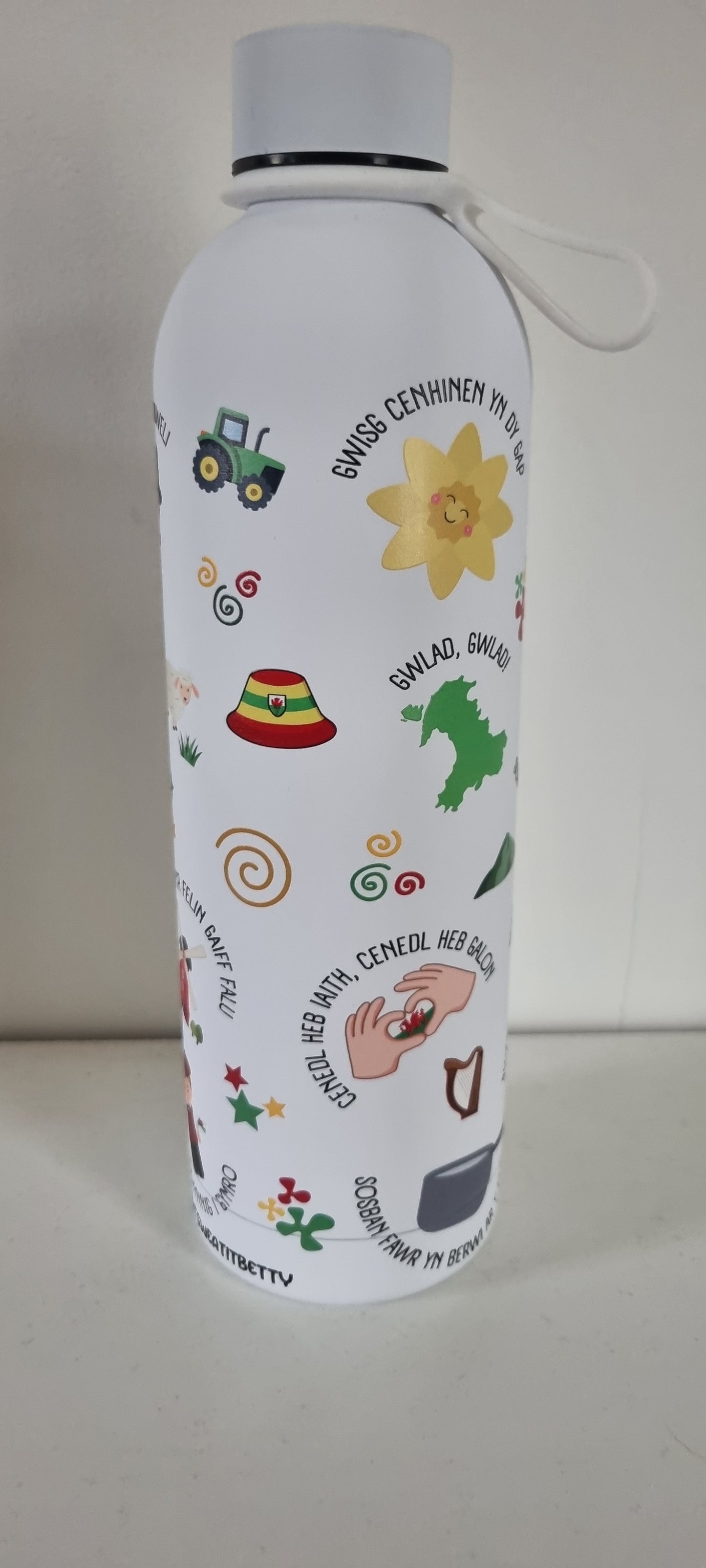 Lliwiau Cymru Stainless Steel Water Bottle