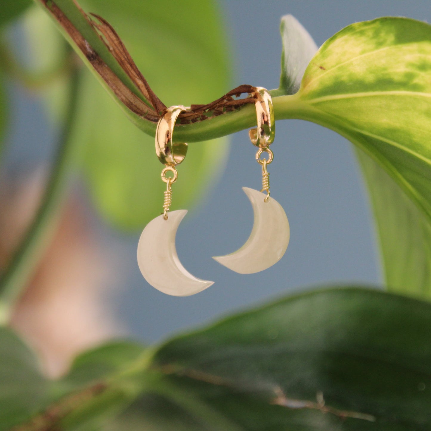 Gold hoop earrings with crescent moon pendants on a green leaf