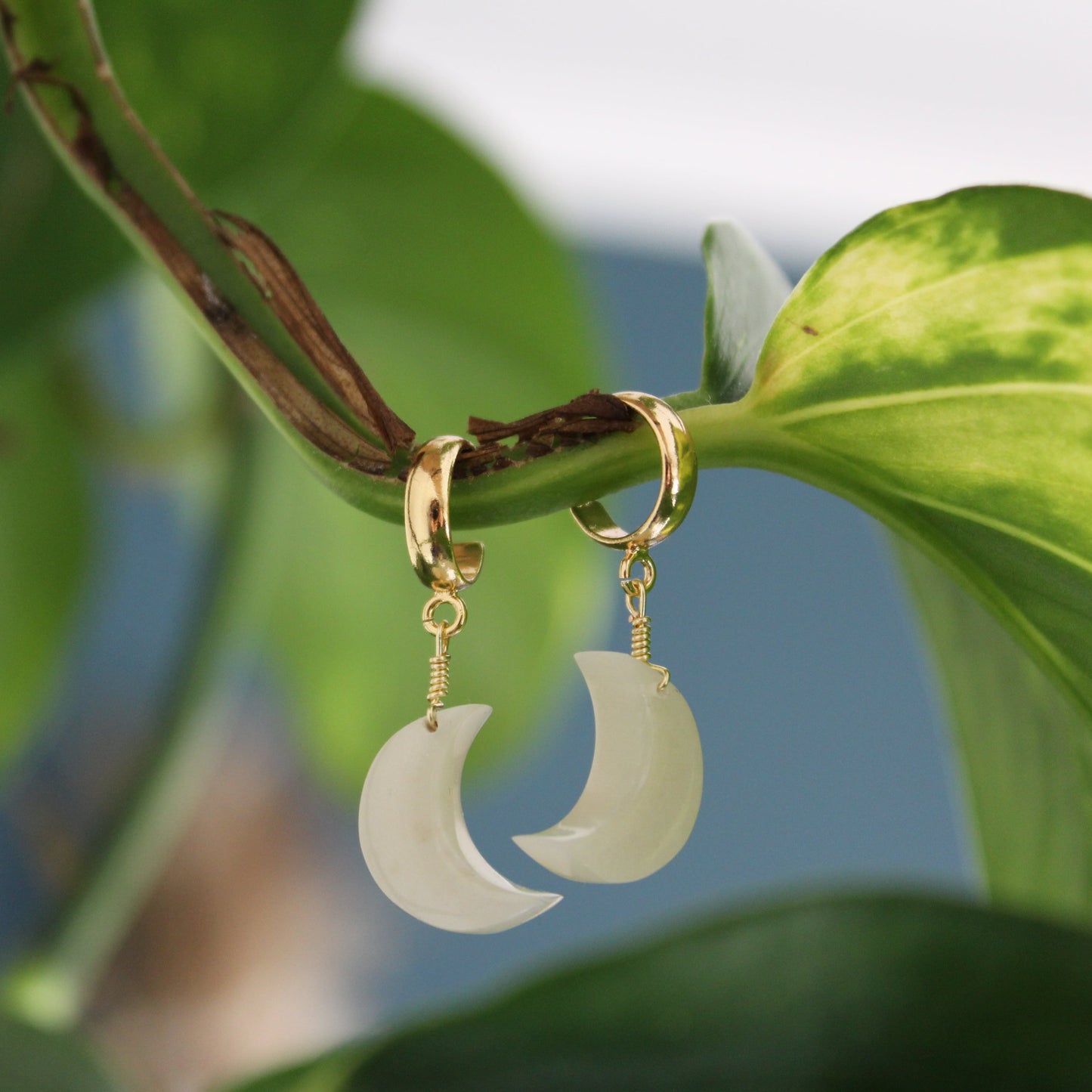 Gold hoop earrings with crescent moon pendants on a green leaf background