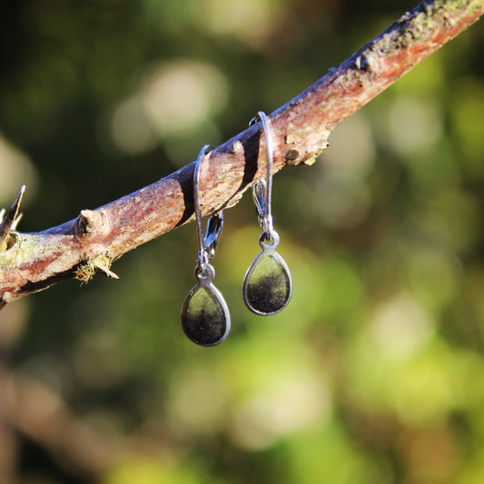 Green oval drop earrings hanging from a branch.