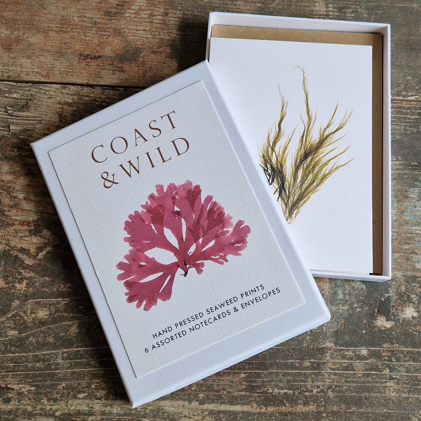 One A6 card featuring intricate botanical pressed seaweed. An ideal gift to ocean lovers, nature enthusiasts, or anyone who appreciates botanical art and thoughtful stationery.