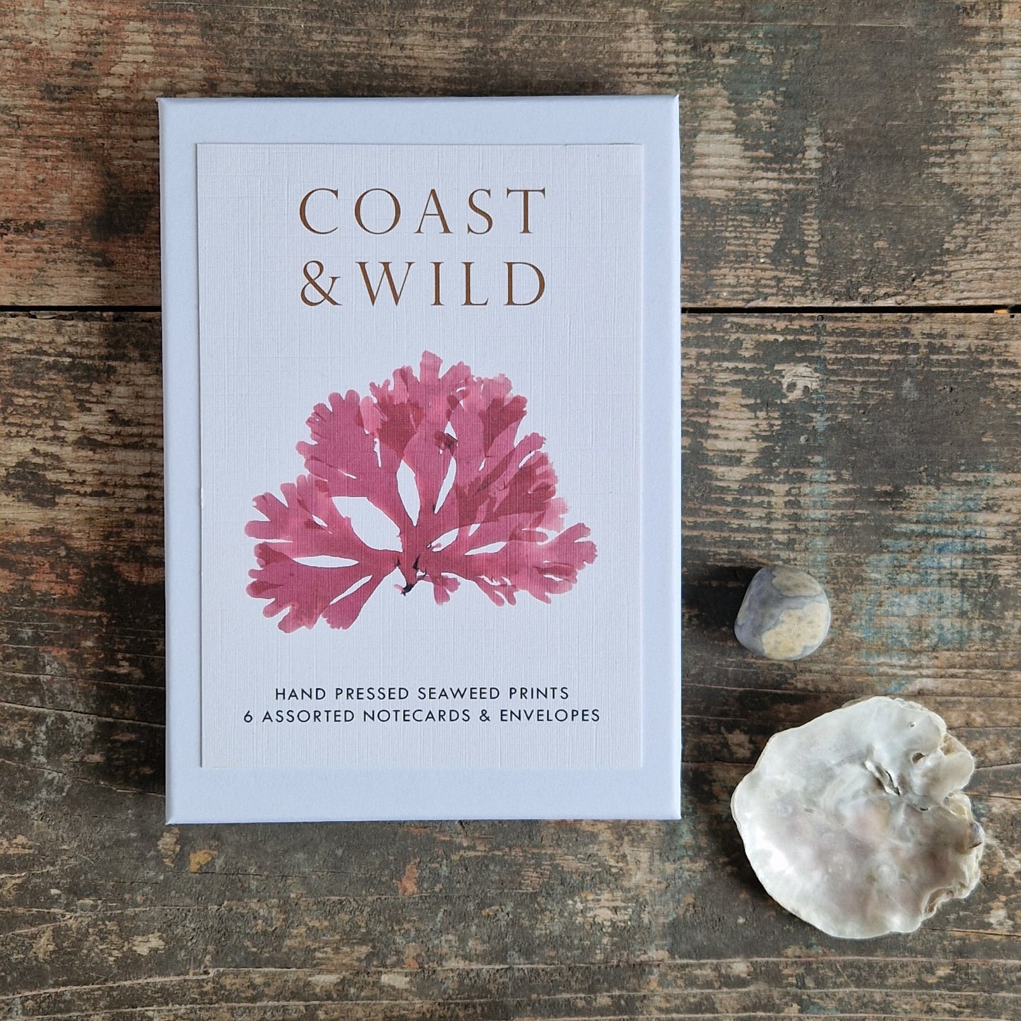 One A6 card featuring intricate botanical pressed seaweed. An ideal gift to ocean lovers, nature enthusiasts, or anyone who appreciates botanical art and thoughtful stationery.