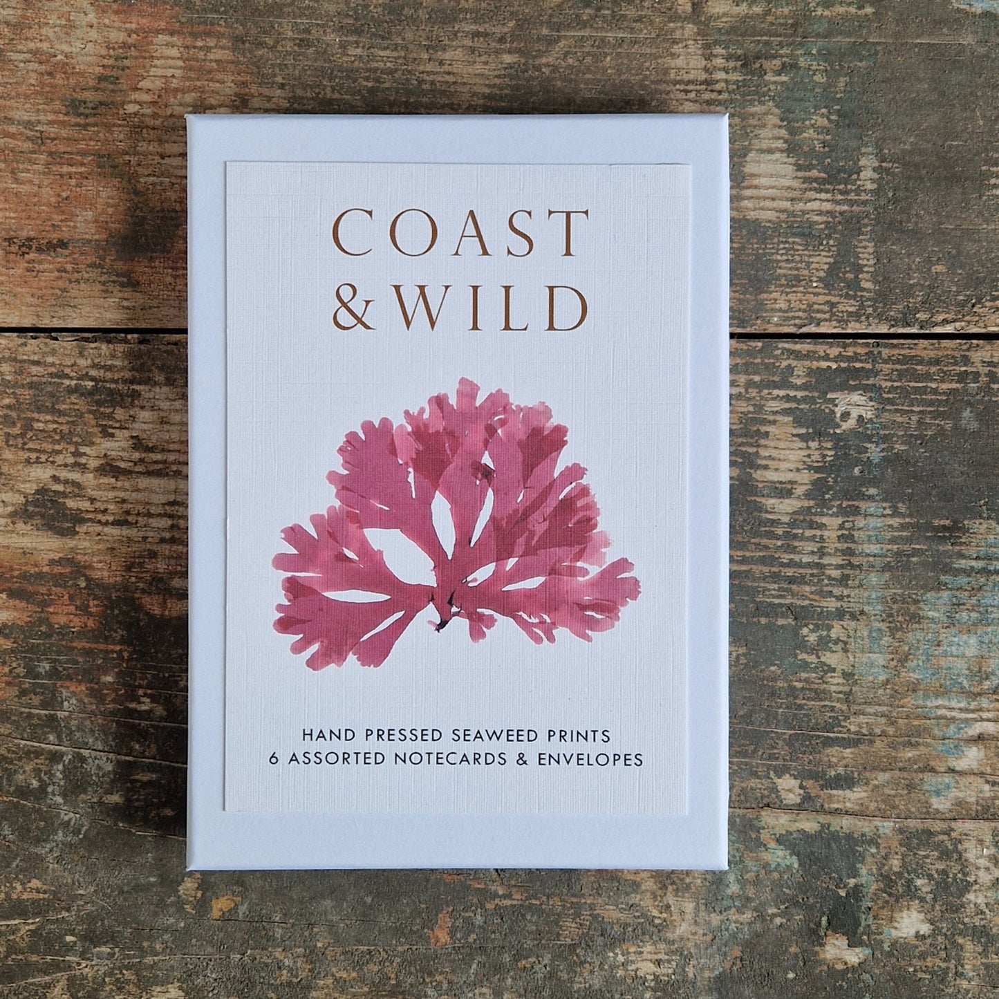 One A6 cards features intricate botanical pressed seaweed. An ideal gift to ocean lovers, nature enthusiasts, or anyone who appreciates botanical art and thoughtful stationery.