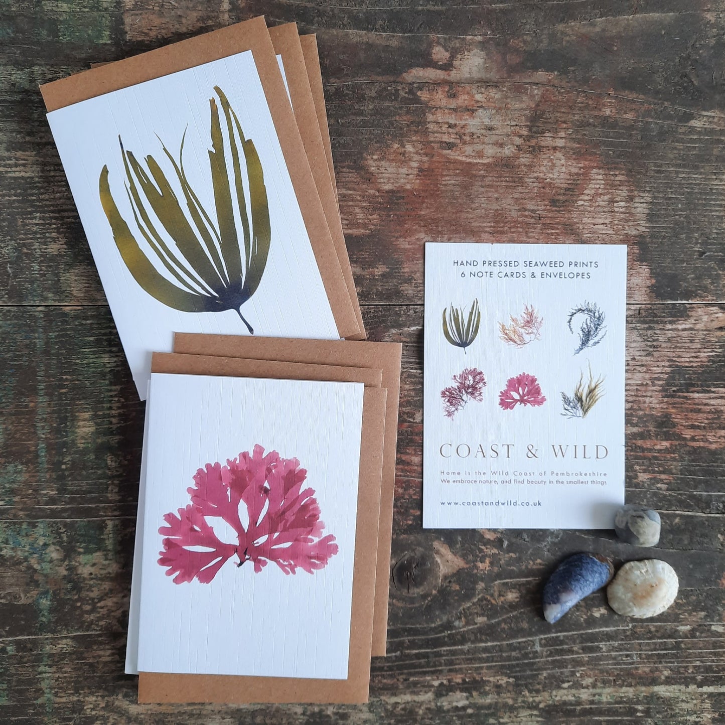 Three A6 cards featuring intricate botanical pressed seaweed. An ideal gift to ocean lovers, nature enthusiasts, or anyone who appreciates botanical art and thoughtful stationery.