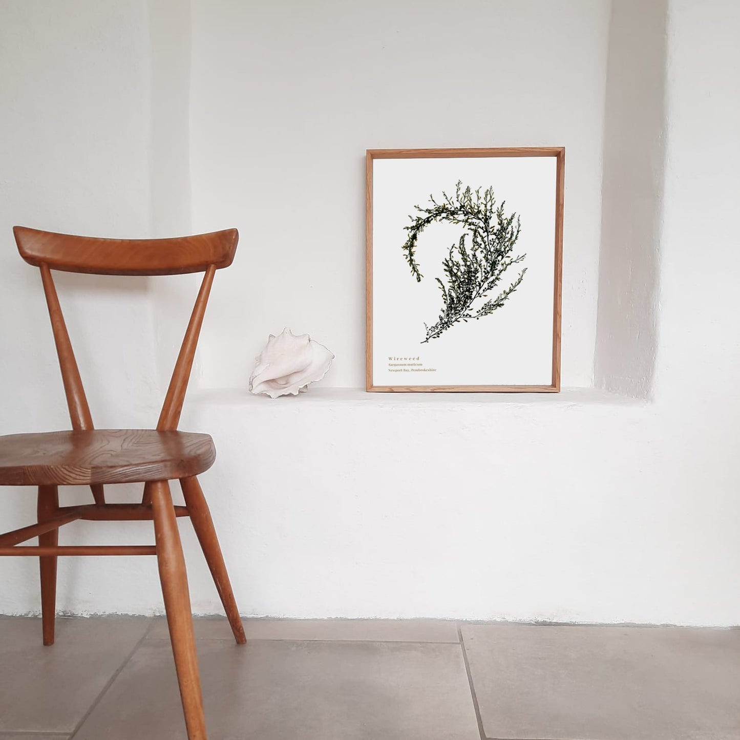 Seaweed art print foraged from Wales, showcasing intricate textures and natural colours. A thoughtful, locally made art print that supports small businesses.