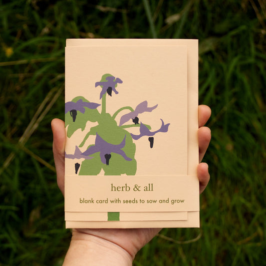 Hand holding a card with plant design and text 'herb & all' against a grassy background