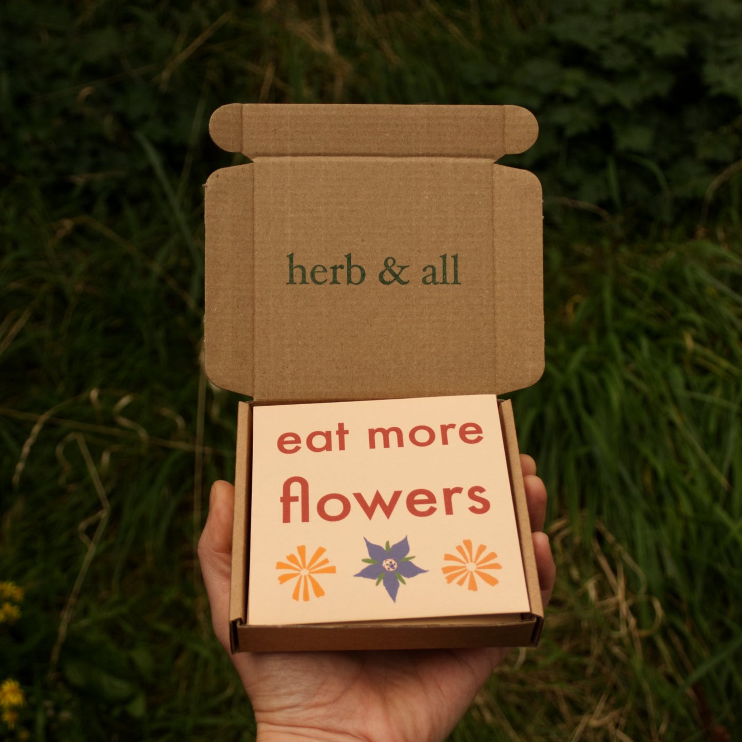 Cardboard box with 'herb & all' and 'eat more flowers' text, held in front of a grassy background