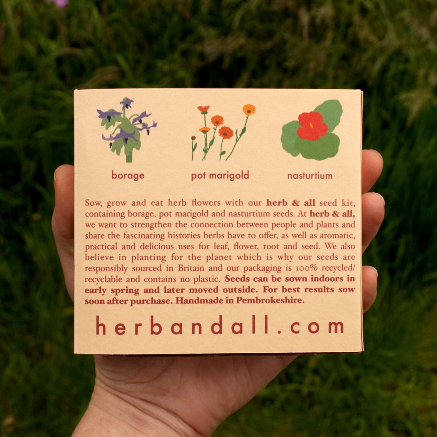 Hand holding a card with herb illustrations and text on a grassy background