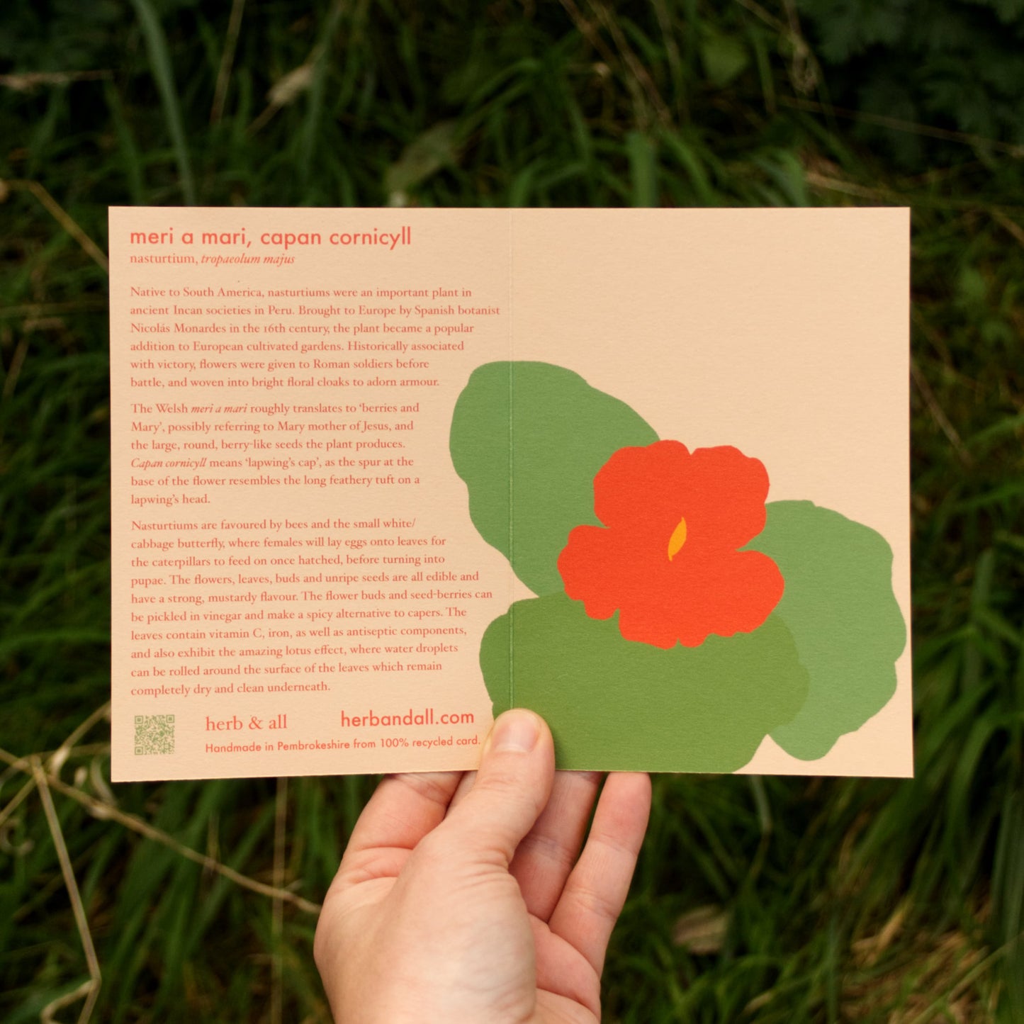 Hand holding a card with a red flower design and text against a grassy background
