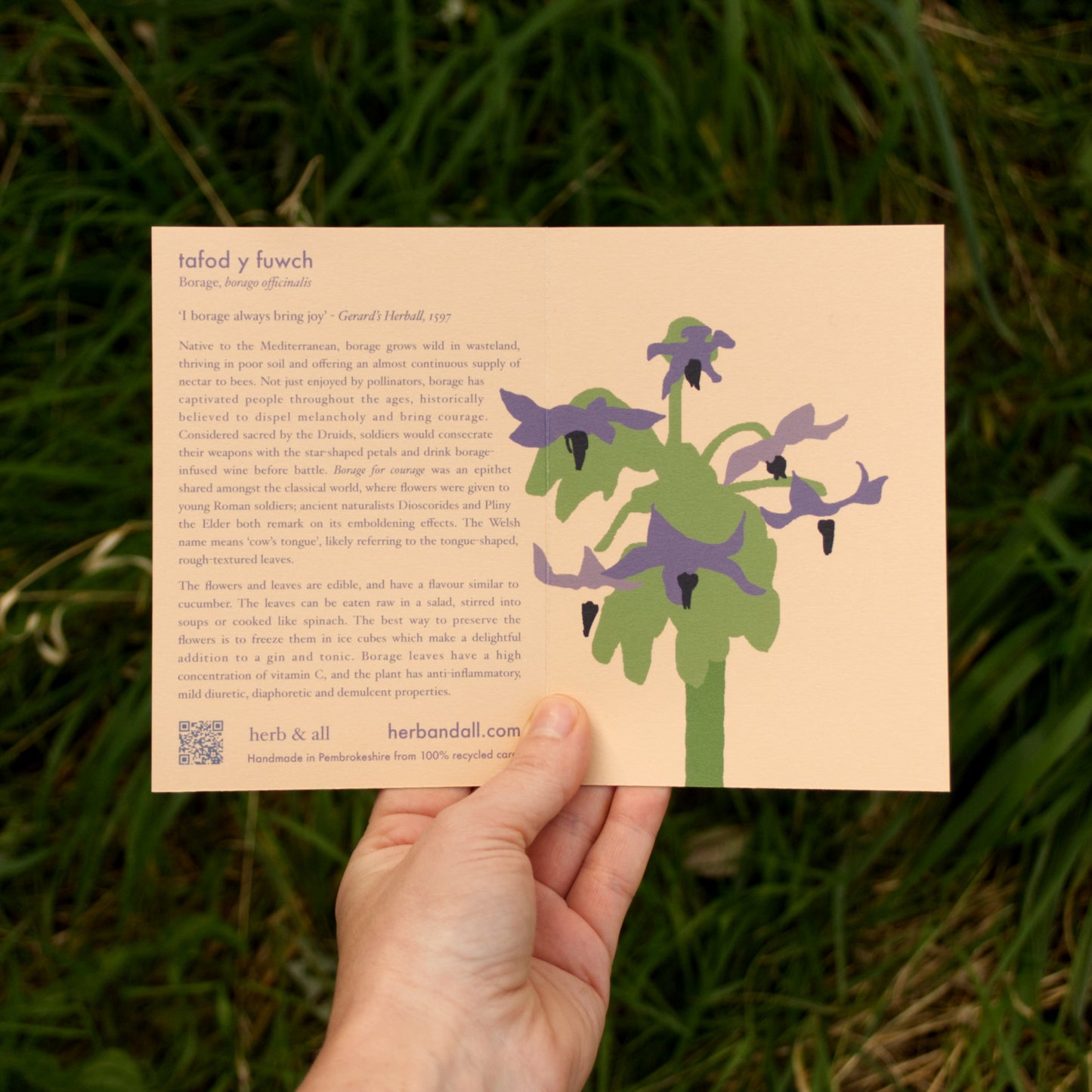 Hand holding a card with plant illustration and text on grass