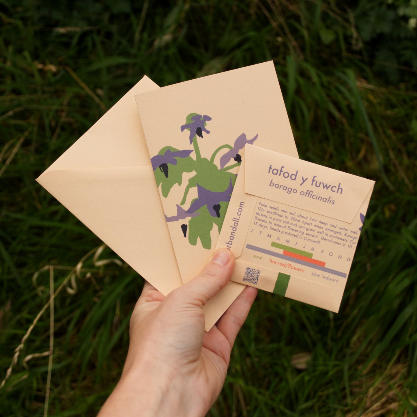 Hand holding a set of cards with plant illustrations and text on a grassy background