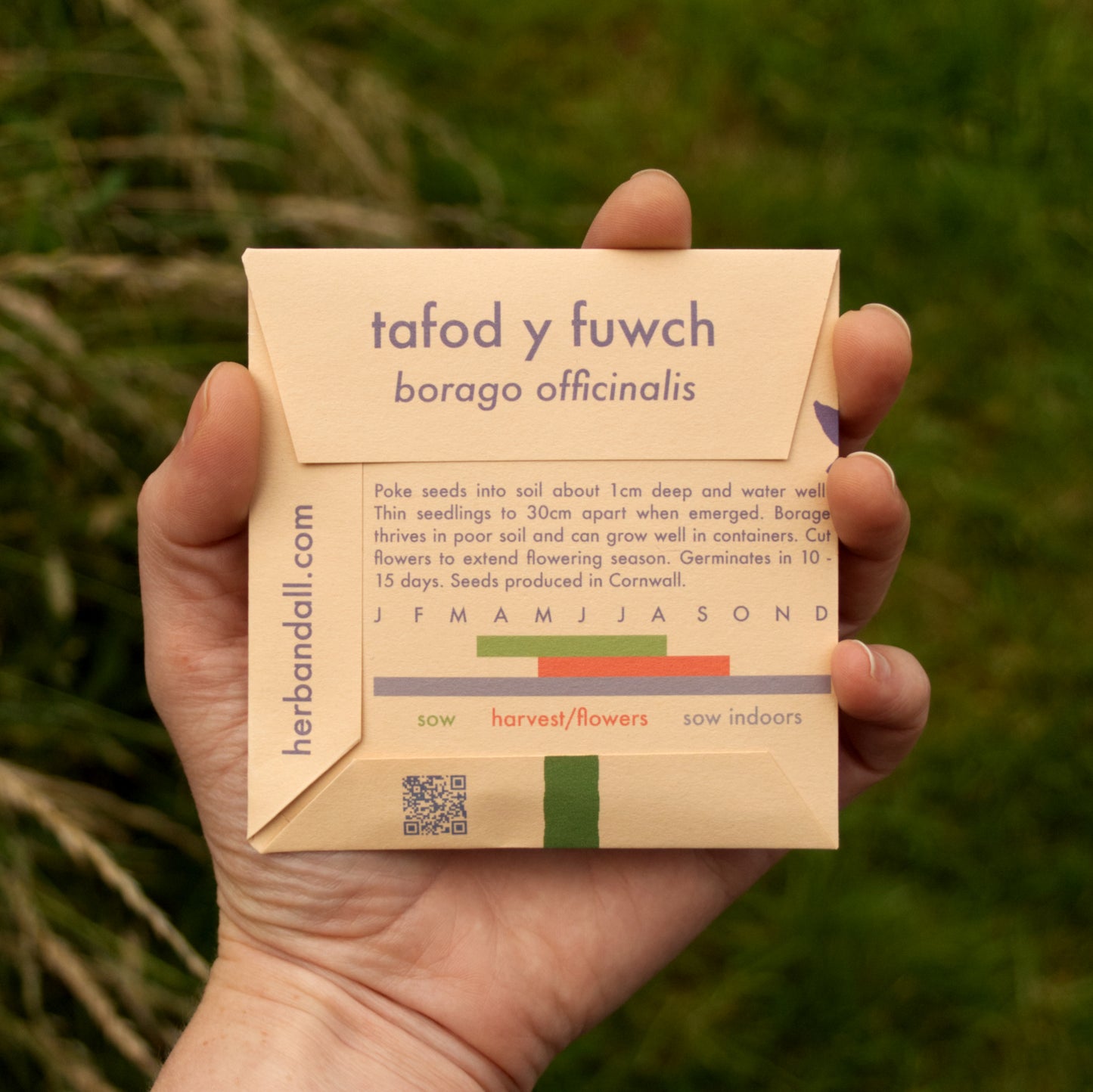 Hand holding a Herbrandell seed packet with plant information against a natural background
