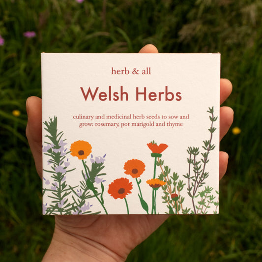 Handmade Pembrokeshire Welsh seed kit with organic herbs and illustrated care cards