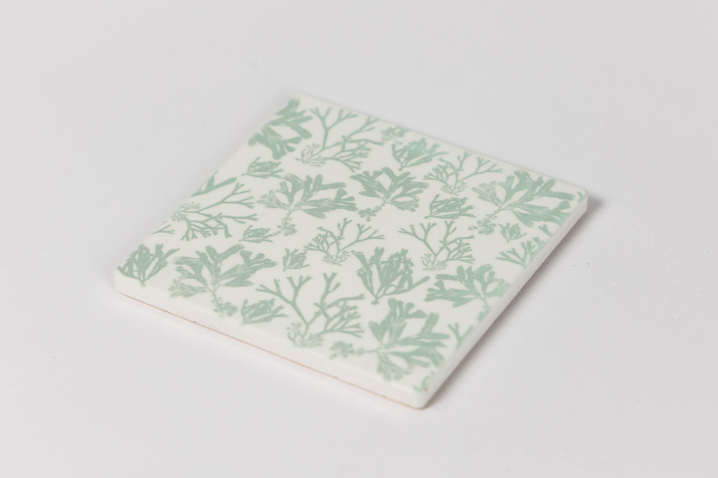 Seaweed Print Ceramic Coaster