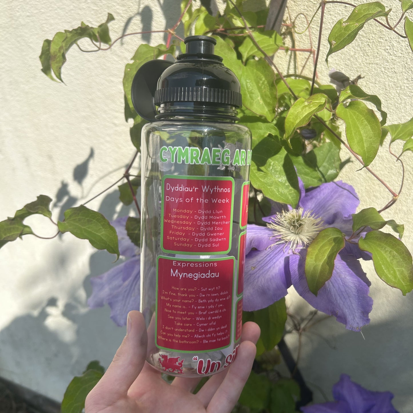 Cymraeg ar Botel reusable Welsh language 800ml water bottle with Welsh phrases. Perfect gift for Welsh learners.