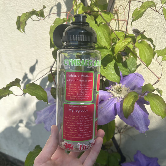 Cymraeg ar Botel reusable Welsh language 800ml water bottle with Welsh phrases. Perfect gift for Welsh learners.