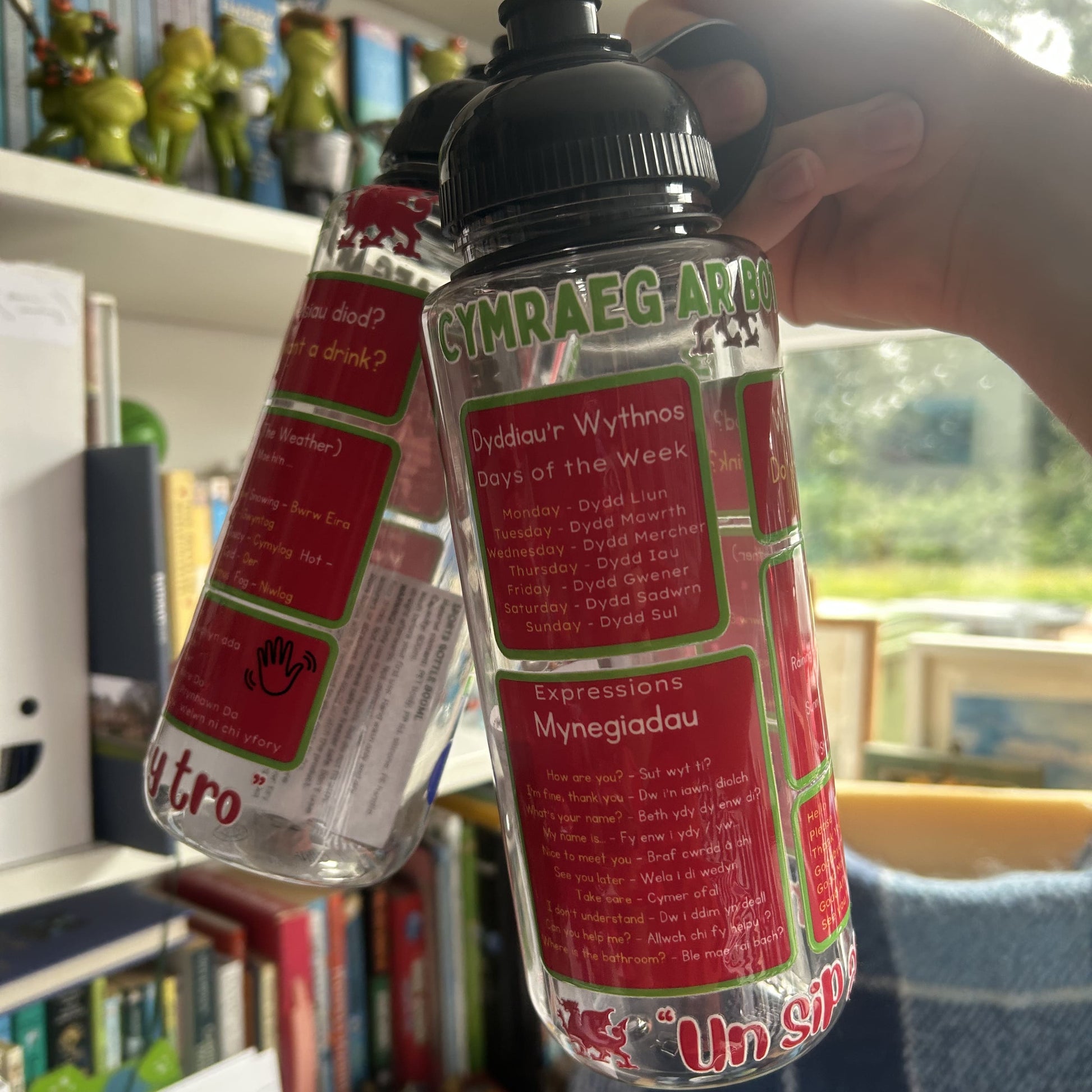 Person holding a clear Welsh water bottle showing Welsh phrases and expressions in a room with shelves and books. Unique gift for Welsh learners.