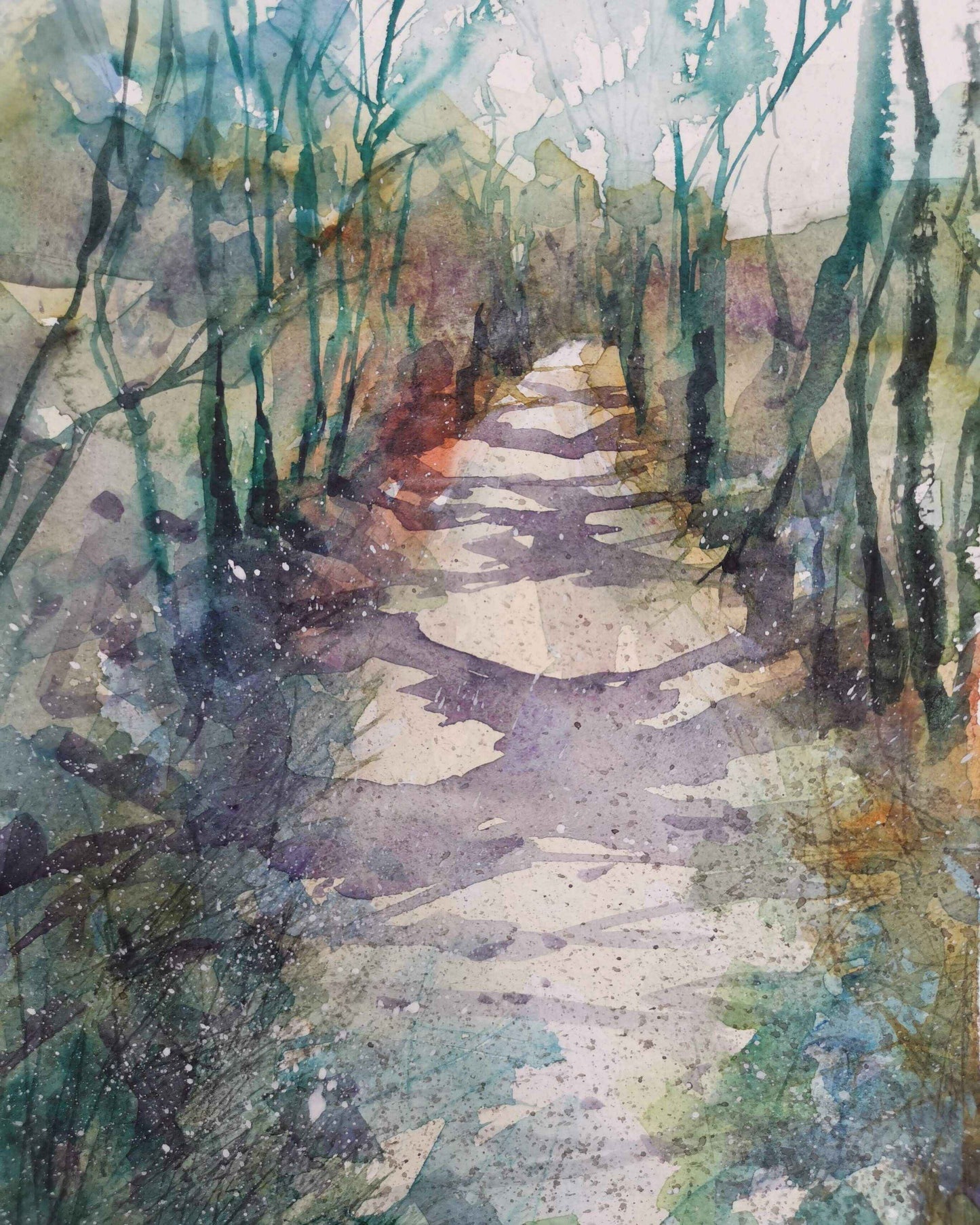 Forest Walks A4 print