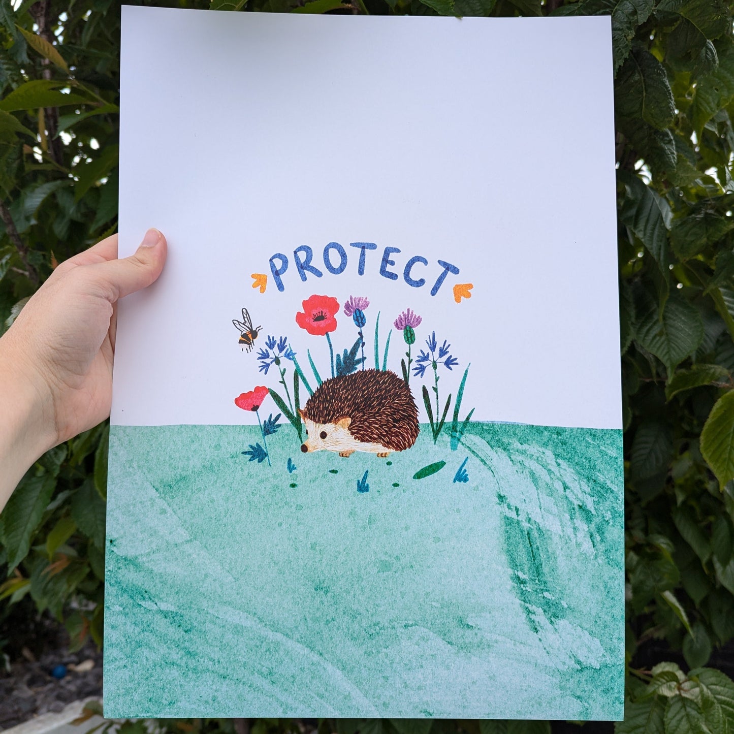 Protect Wildlife Hedgehog Print