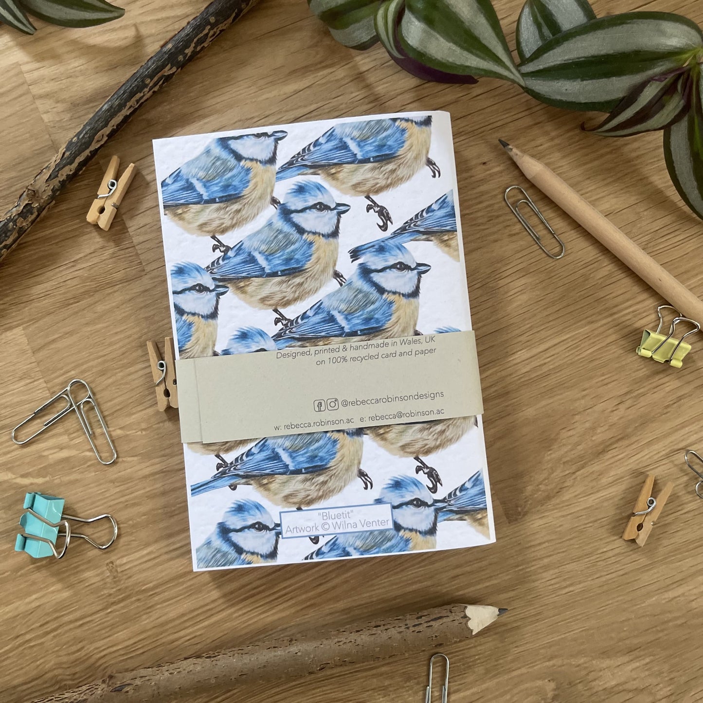 Set of 2 "Bluetit" pocket notebooks (1 of each design)