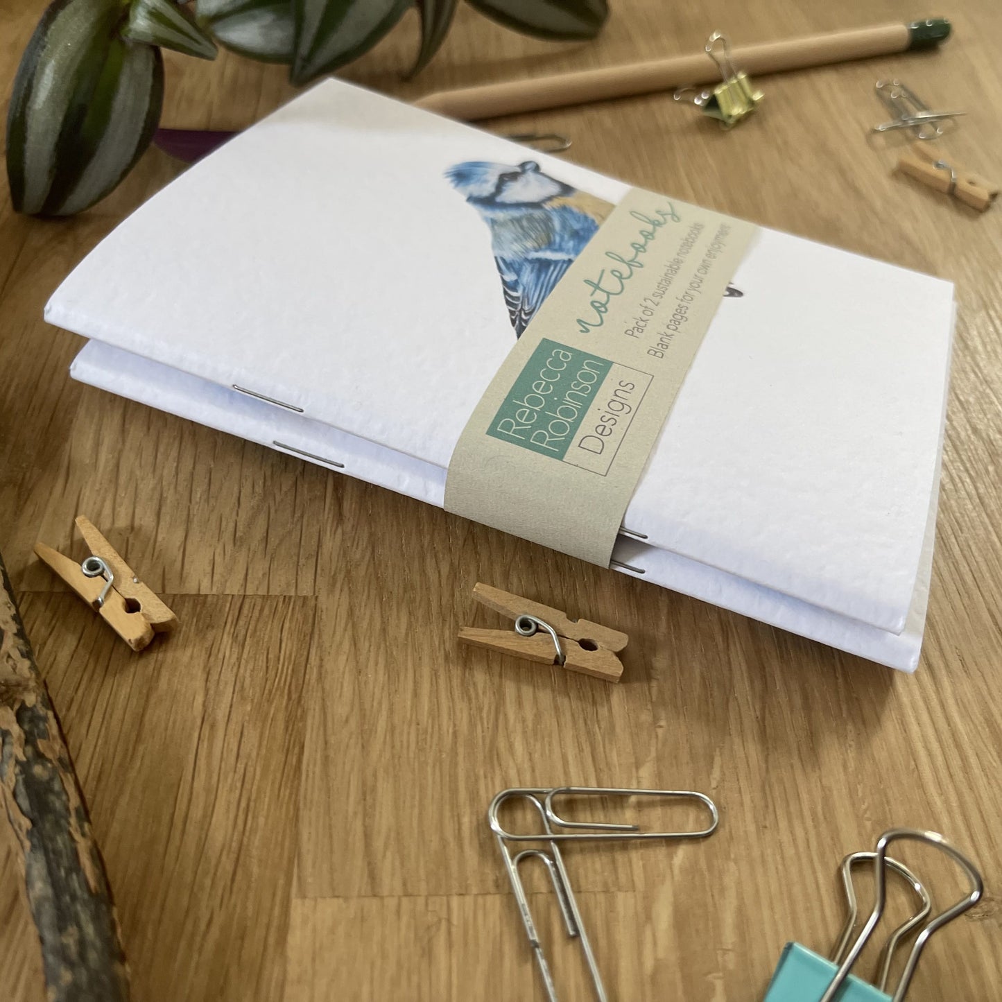 Set of 2 "Bluetit" pocket notebooks (1 of each design)