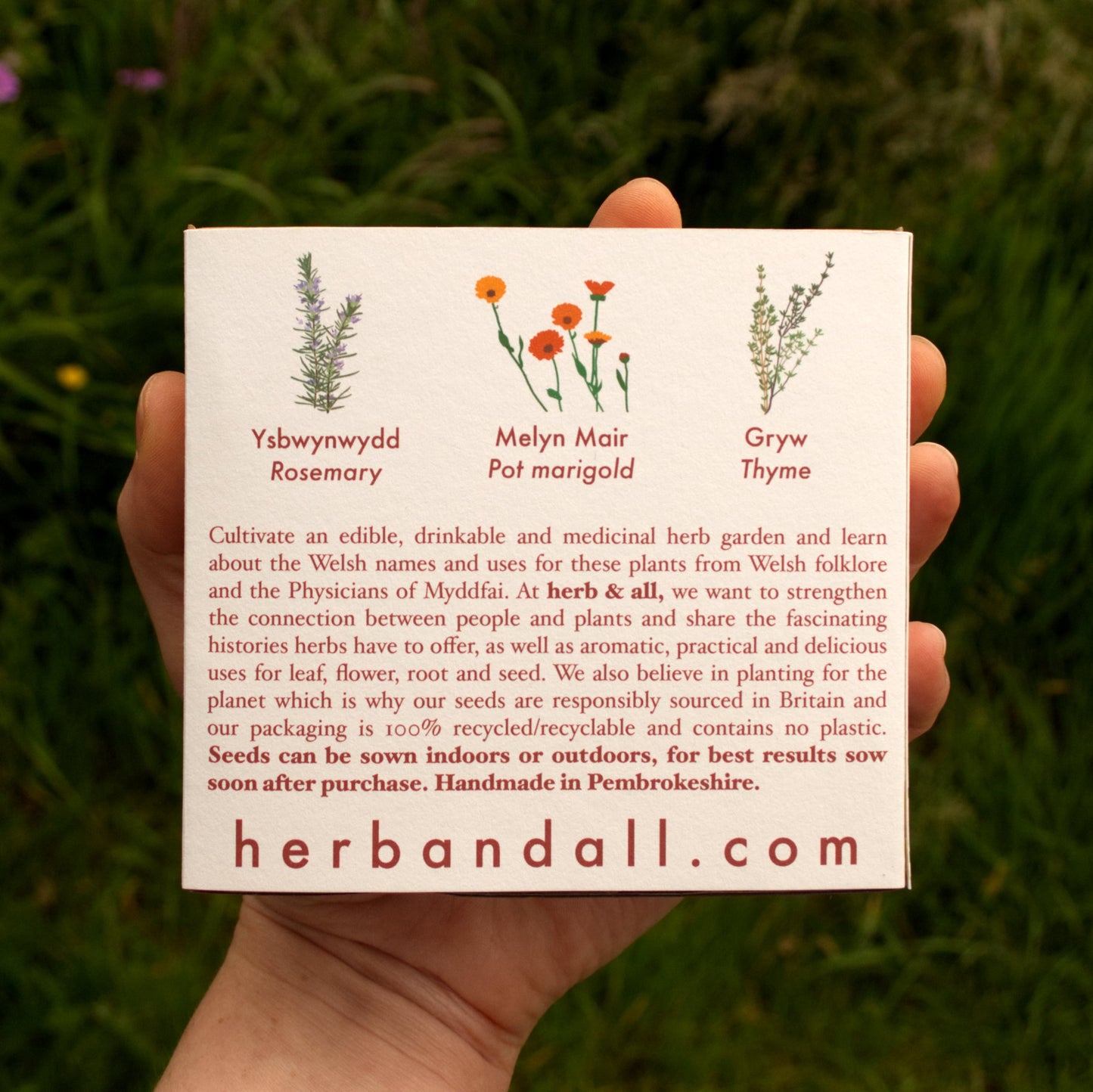 Welsh Herbs Seed Kit